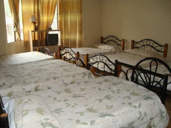 Hotel Alamo Internacional San Salvador Eksteriør bilde
