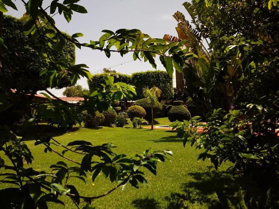 Hotel Alamo Internacional San Salvador Eksteriør bilde