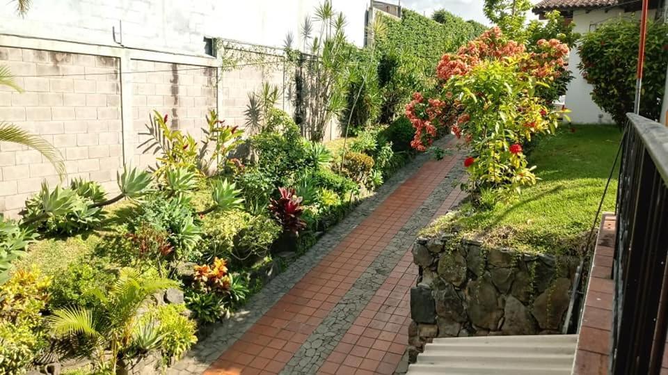 Hotel Alamo Internacional San Salvador Eksteriør bilde