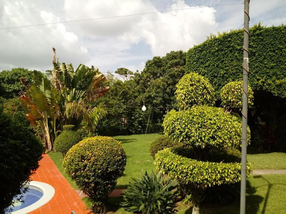 Hotel Alamo Internacional San Salvador Eksteriør bilde