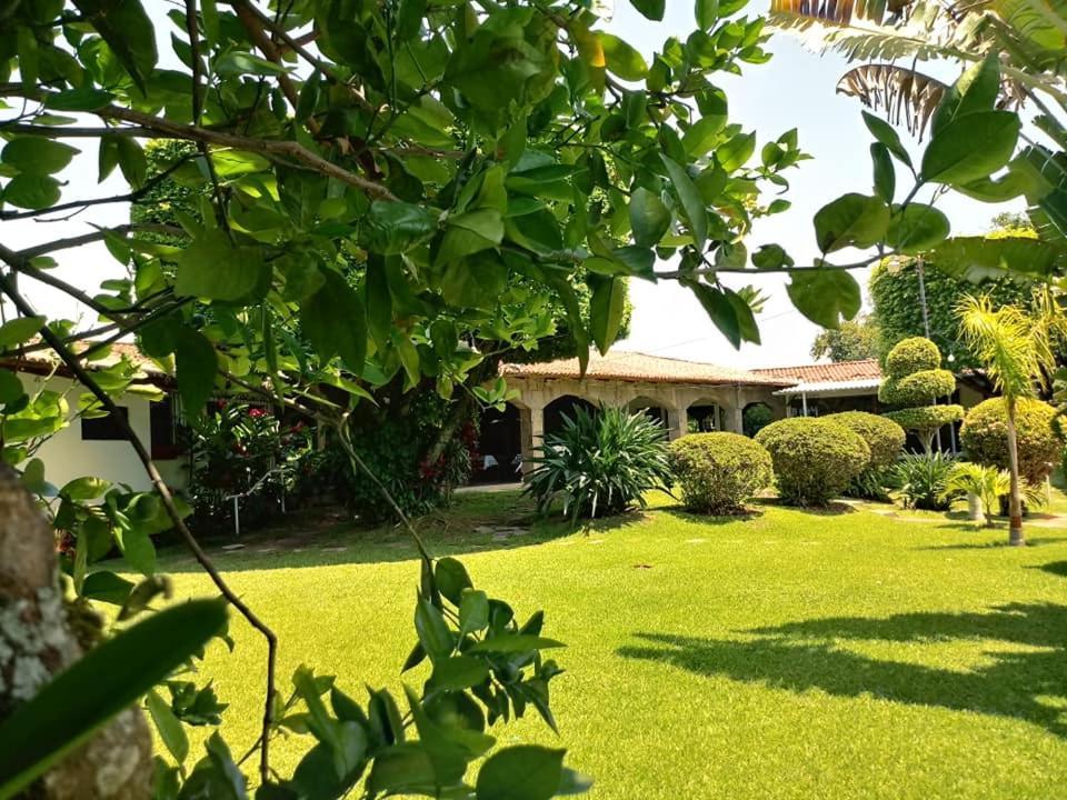 Hotel Alamo Internacional San Salvador Eksteriør bilde