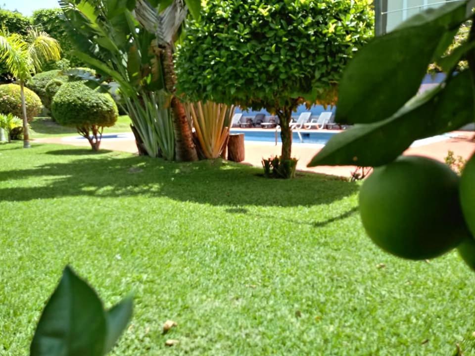 Hotel Alamo Internacional San Salvador Eksteriør bilde