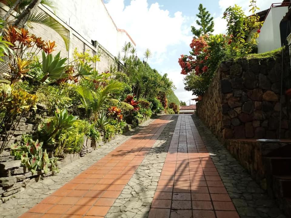 Hotel Alamo Internacional San Salvador Eksteriør bilde