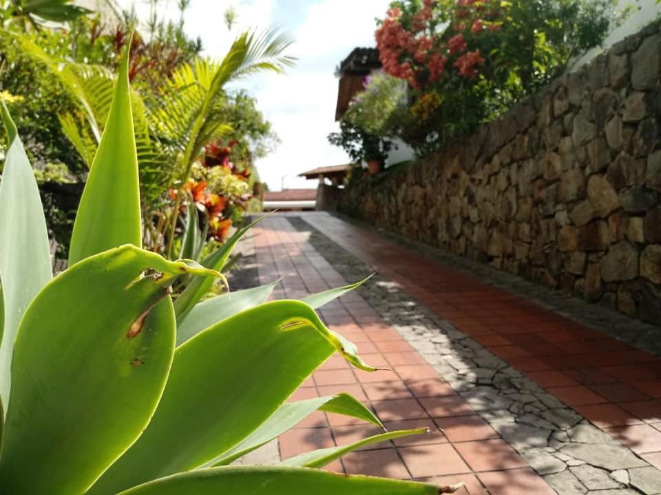 Hotel Alamo Internacional San Salvador Eksteriør bilde